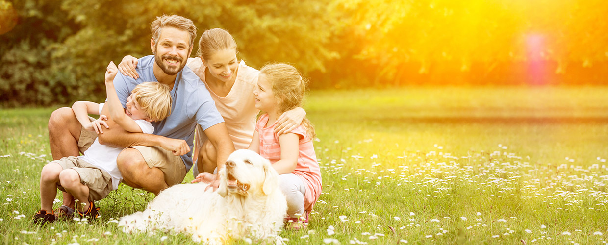 A happy family with two children and a dog sit on a grassy field - https://murphyinsgrp.com/